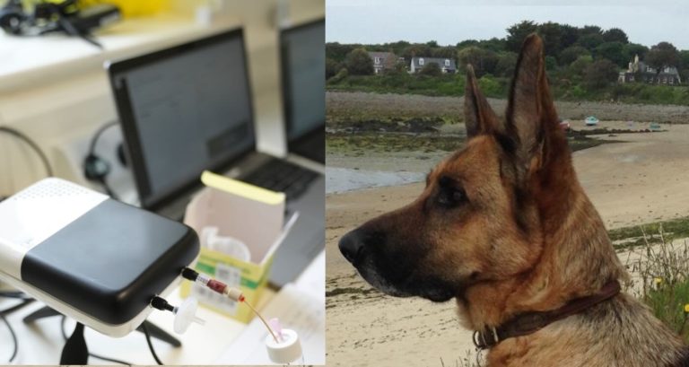 Incas envishet fick Colleen att gå till läkaren – lyckligt slut