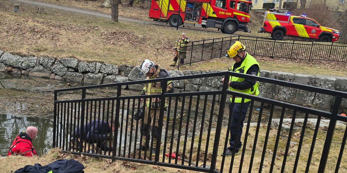 Katt räddades efter att ha fastnat mellan stenar