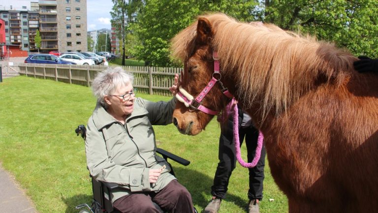 Hästar på besök gladde de äldre på Ekedal