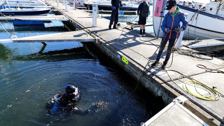 Skolbarn hjälpte dykare rensa småbåtshamnen i Simrishamn