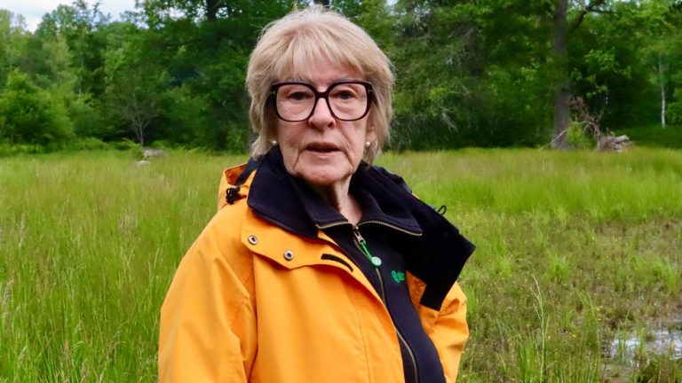 Lena förvandlade igenväxt betesmark till våtmark i Fastlycke