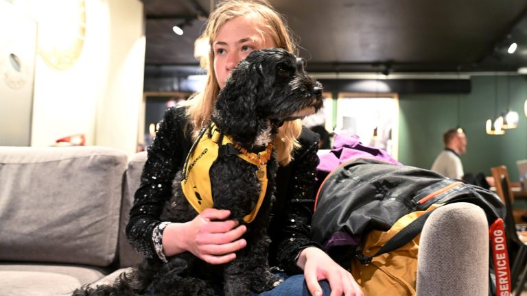 Servicehunden Frodo ger Freja en friare vardag