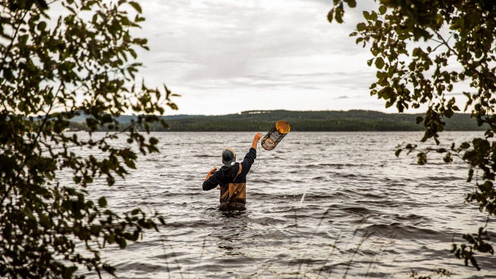 Barn och unga får fiska kräftor gratis i Runn