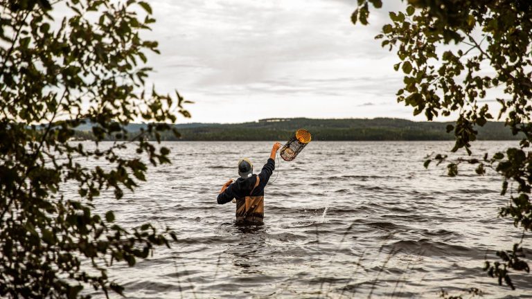 Barn och unga får fiska kräftor gratis i Runn